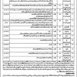 District Session Courts Chiniot Jobs Test Date Roll No Slip