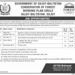 Forest Department Gilgit Baltistan Jobs Today Govt Jobs Gilgit Baltistan