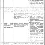 Today New Govt jobs in Punjab At Planning & Development Board PPP Punjab