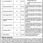 Govt Jobs in Peshawar Today At Directorate of Archaeology Museums Via ETEA