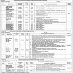 Today New Govt Jobs in Pakistan At Ministry of Human Rights MOHR