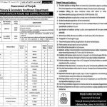 Primary Secondary Healthcare Department Jobs NTS Roll No Slip 2022 Hepatitis & Infection Control Program, Punjab Aids Control Program & Tehsil Headquarter Hospitals 25 District & 15 Tehsil Headquarter Hospitals