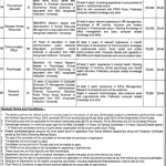 Primary Secondary Healthcare Department Jobs NTS Skill Test Result
